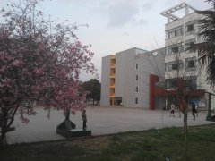 学校14