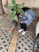 学习雷锋见行动 ——“学雷锋月”主题教育实践活动纪实之二