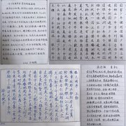 kaiyun开云网页版开展读书周硬笔书法和主题手抄报比赛