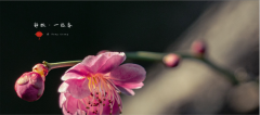 工会组织“迎春赏梅游园”暨“三八”节活动